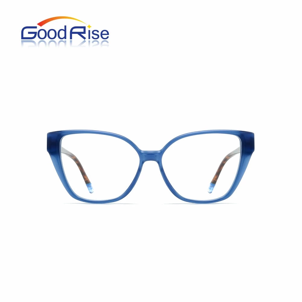 GOODRISE Wholesale Optical Frame 2513